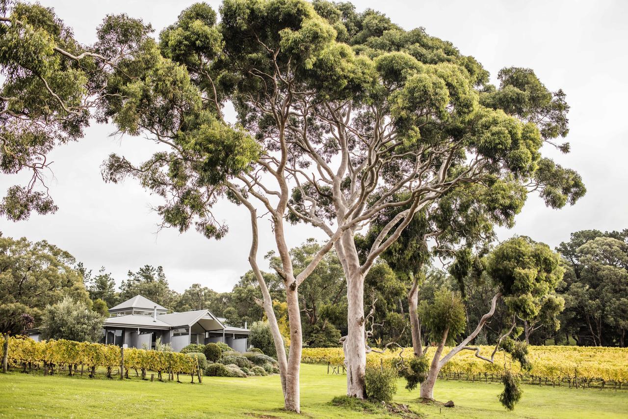 Polperro Villas Red Hill Exterior foto